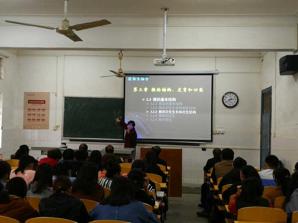球王会平台,球王会网站
