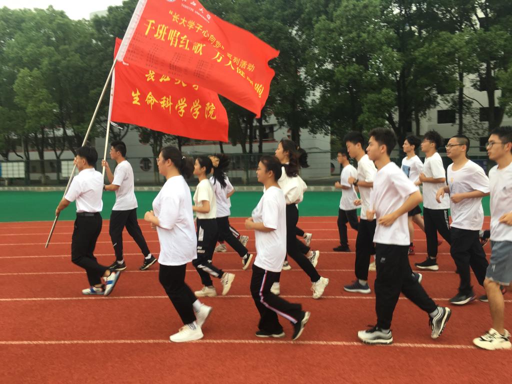 球王会平台,球王会网站
