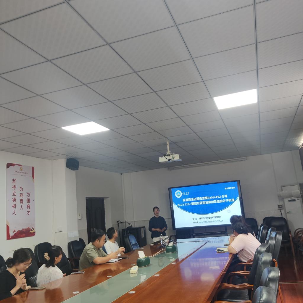 球王会平台,球王会网站