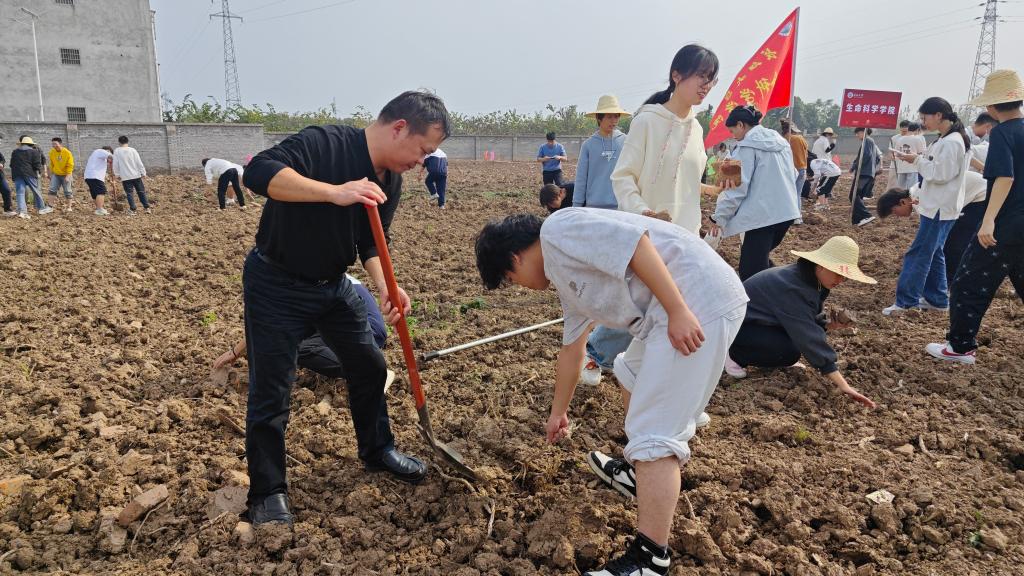球王会平台,球王会网站
