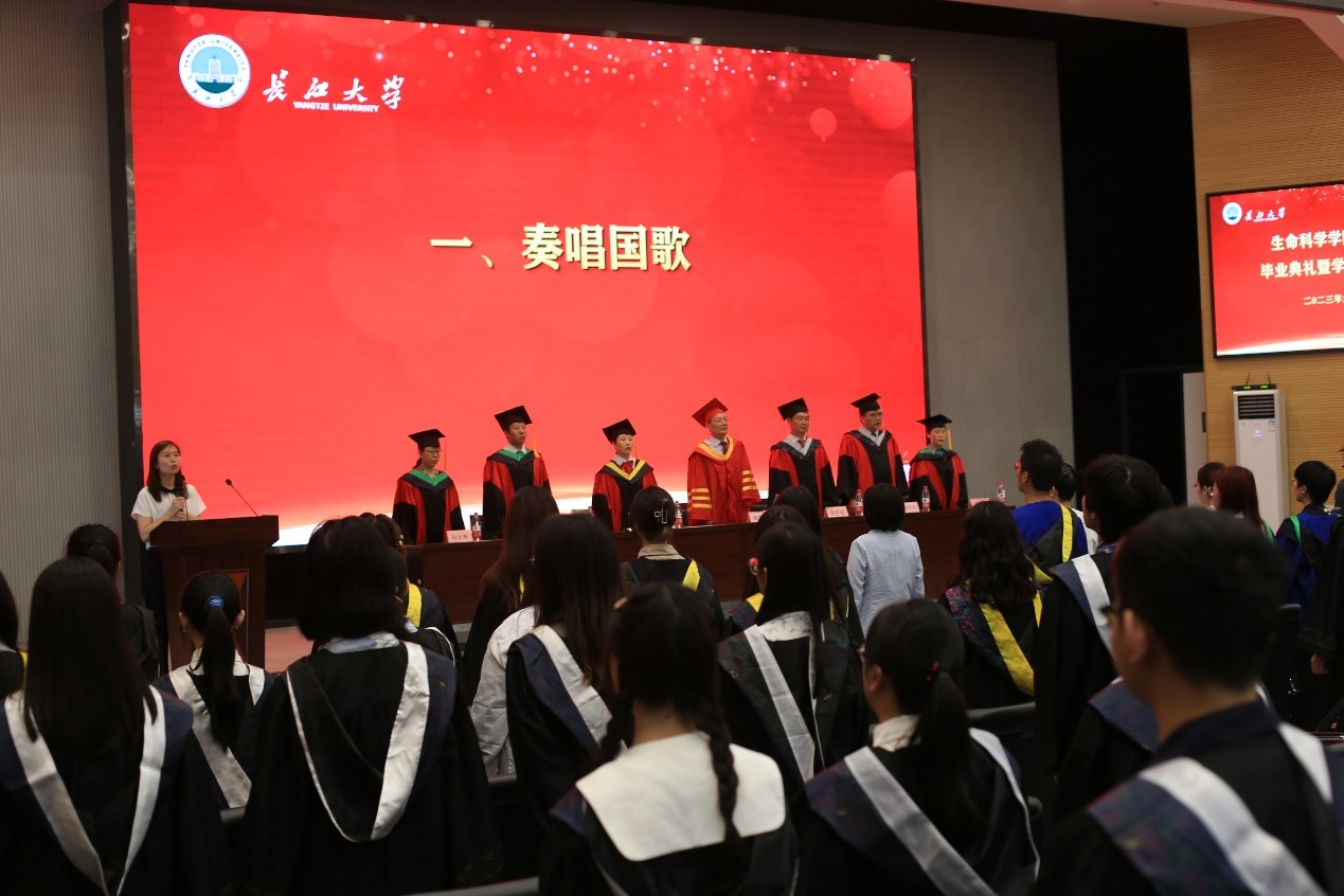 球王会平台,球王会网站