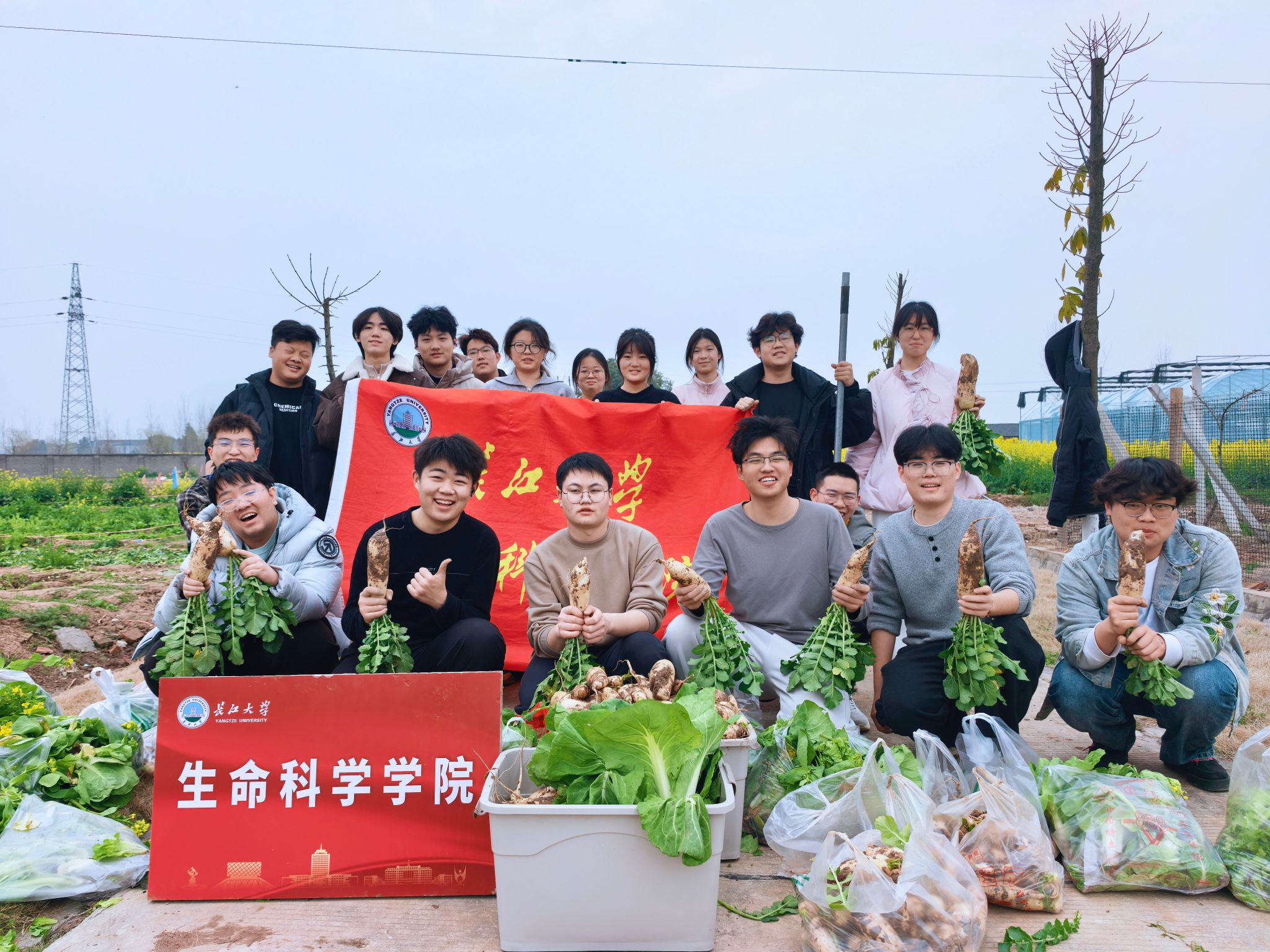 球王会平台,球王会网站