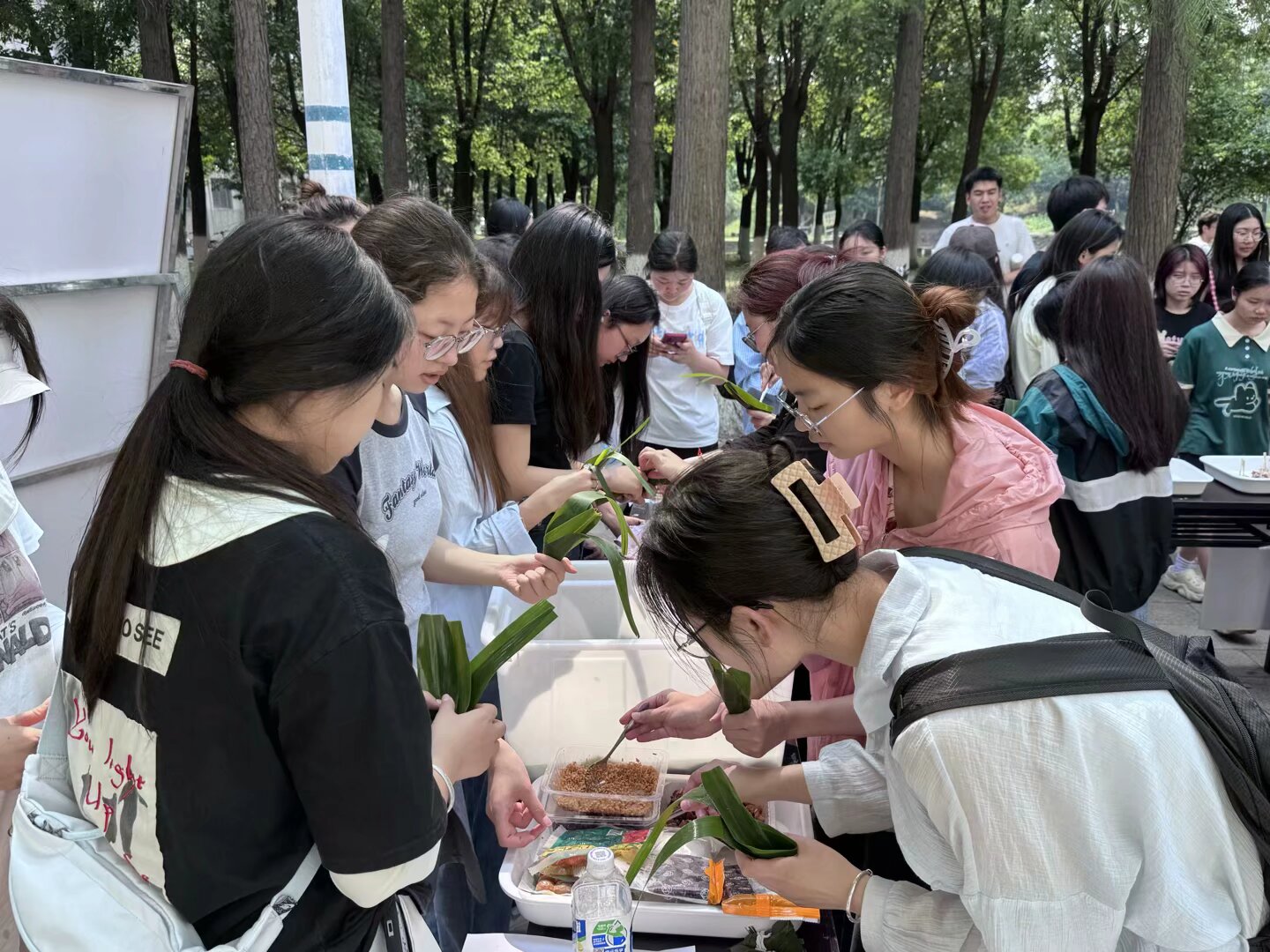 球王会平台,球王会网站