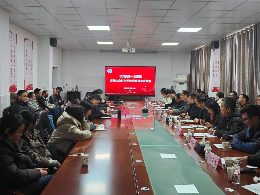 球王会平台,球王会网站