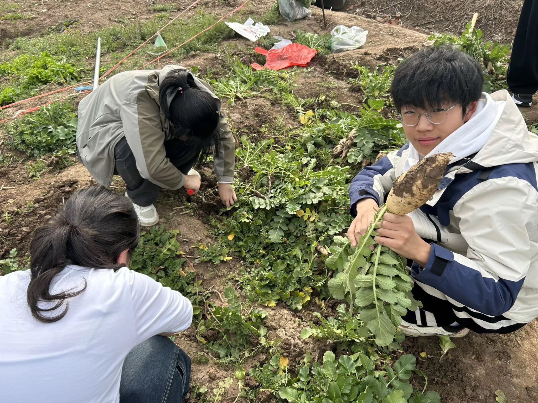 球王会平台,球王会网站