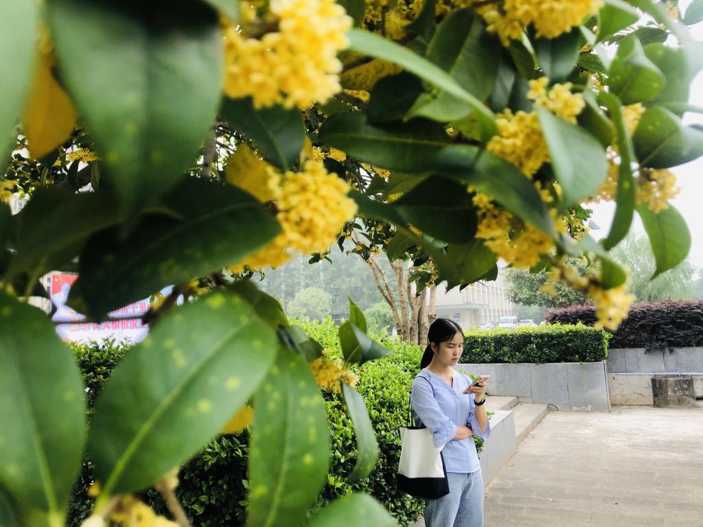 球王会平台,球王会网站