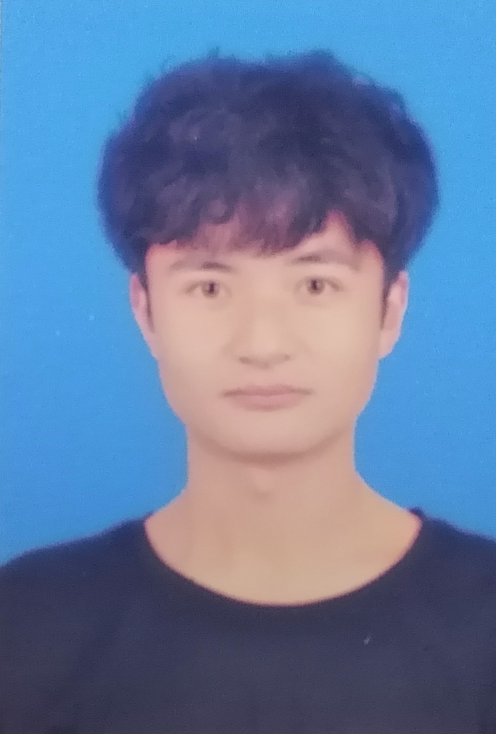 球王会平台,球王会网站