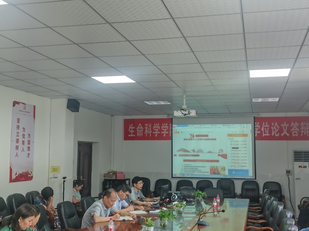 球王会平台,球王会网站