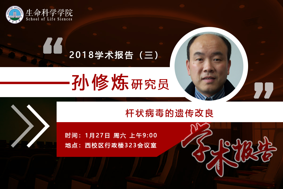 球王会平台,球王会网站