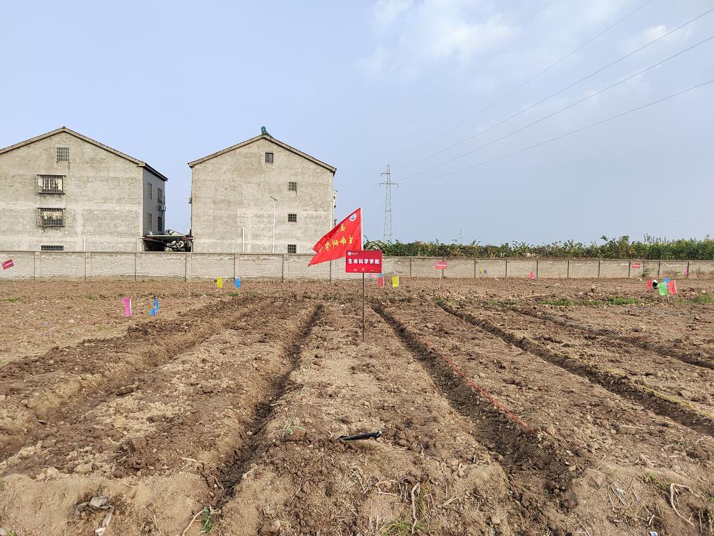 球王会平台,球王会网站