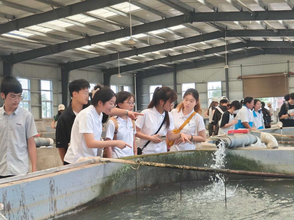 球王会平台,球王会网站