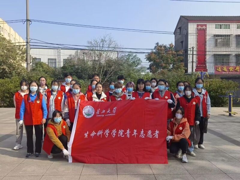 球王会平台,球王会网站