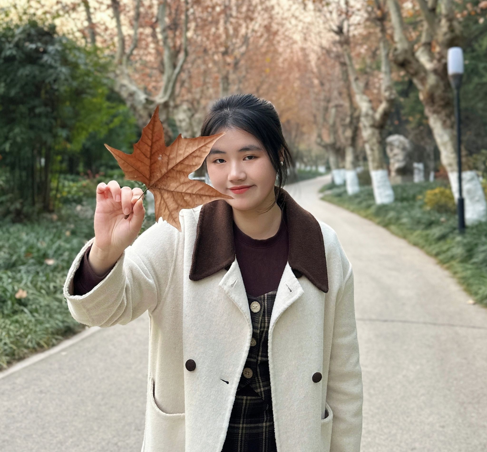 球王会平台,球王会网站